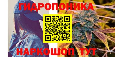 ПСИЛОЦИБИНОВЫЕ ГРИБЫ Кулебаки