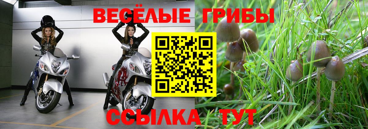 Воронеж  Галлюциногенные грибы мухоморы  Вход с VPN 